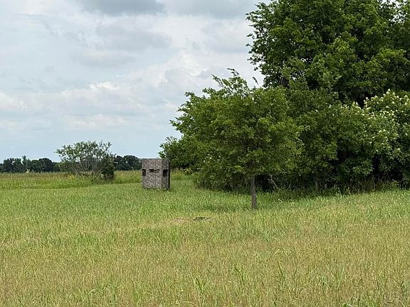 2nd image of 1162 County Road 134