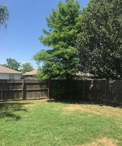Back yard