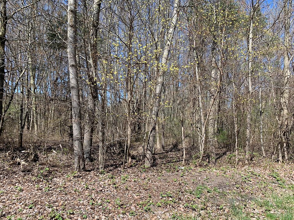2nd image of 0 Charles St