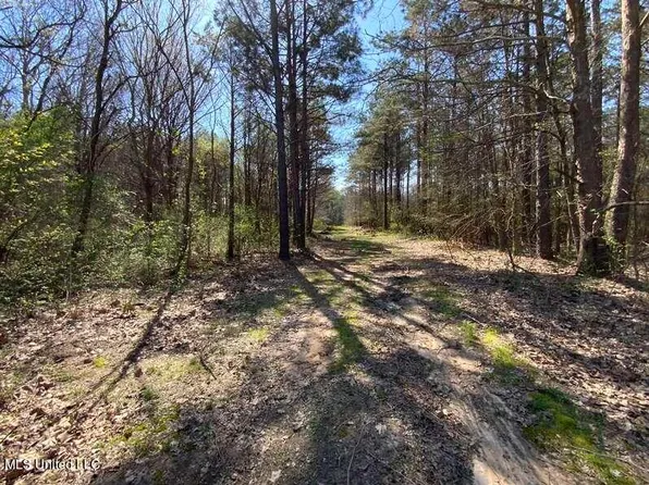 Smart Rd, Senatobia, MS 38668