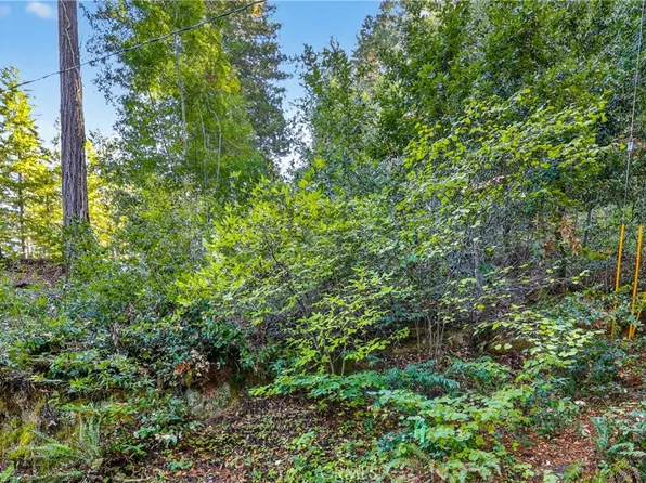 11480 Terrace Dr, Forestville, CA 95436