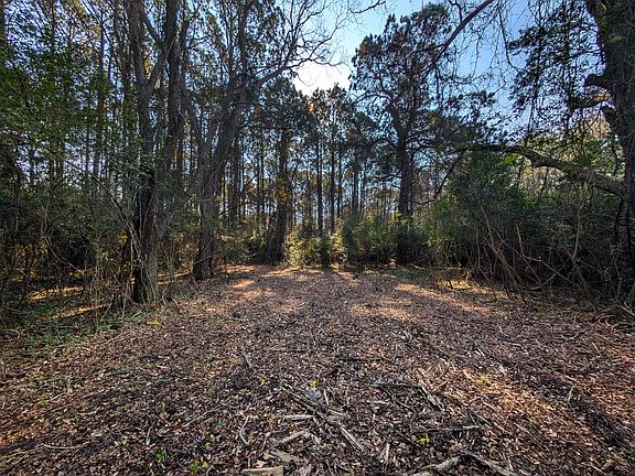 2nd image of 3733 N Highway 17 Tract 2