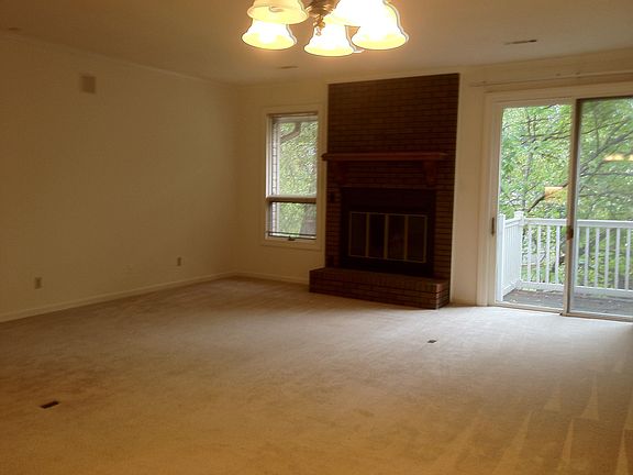 Lliving Area +Fireplace