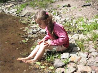 381 Back Shandelee Rd, Livingston Manor, NY 12758