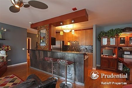 4th image of 635 N Dearborn St APT 1704