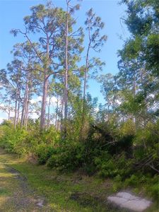23273 McMullen Ave #13, Punta Gorda, FL, 33980