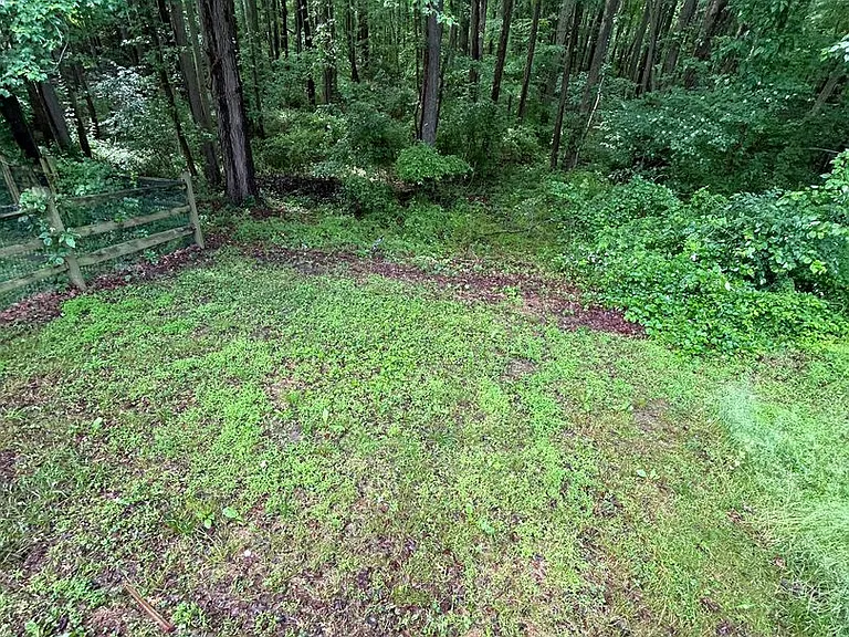 85 Alexis Dr — Photo 18