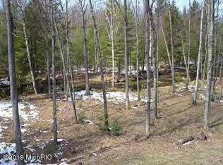 6770 W 5 Mile Rd, Irons, MI 49644