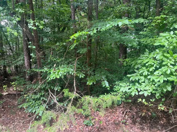 135 Tulip Ln, Westminster, SC 29693
