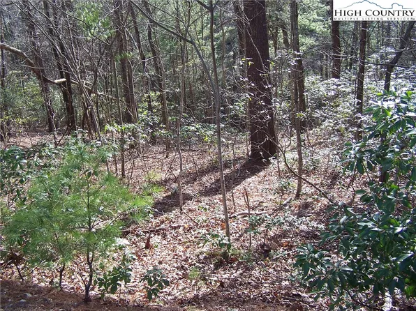 TBD Roaring Ridge Road, Deep Gap, NC 28618