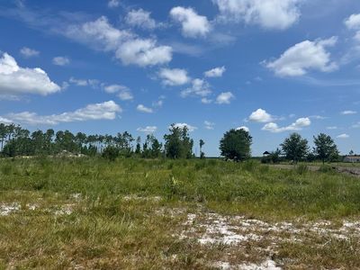 LOT 1 Margies Ln, Wewahitchka, FL, 32465