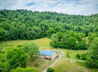 1713 Clinch Mountain Rd, Eidson, TN 37731