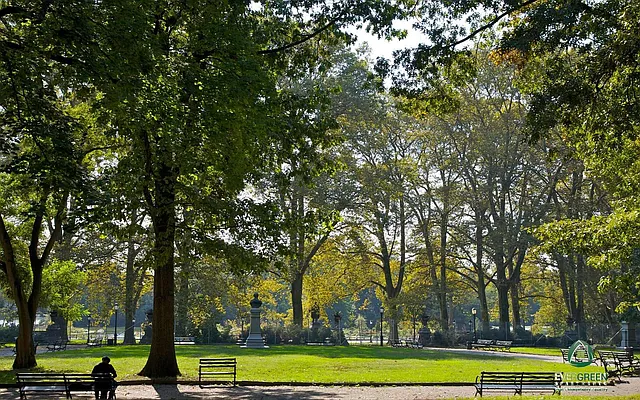 Rented by Evergreen Apartments BK | media 16