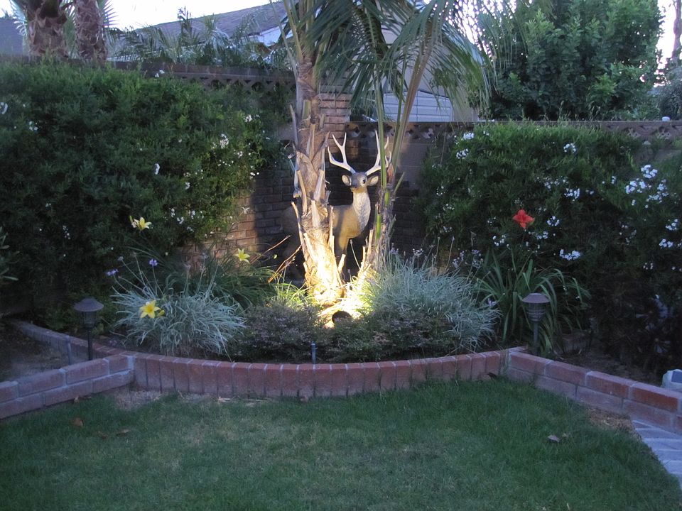 Backyard: landscaping lights