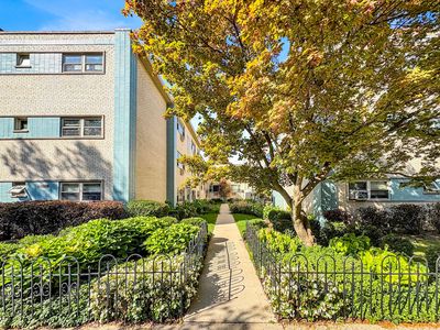4854 N Paulina St APT 1W, Chicago, IL, 60640