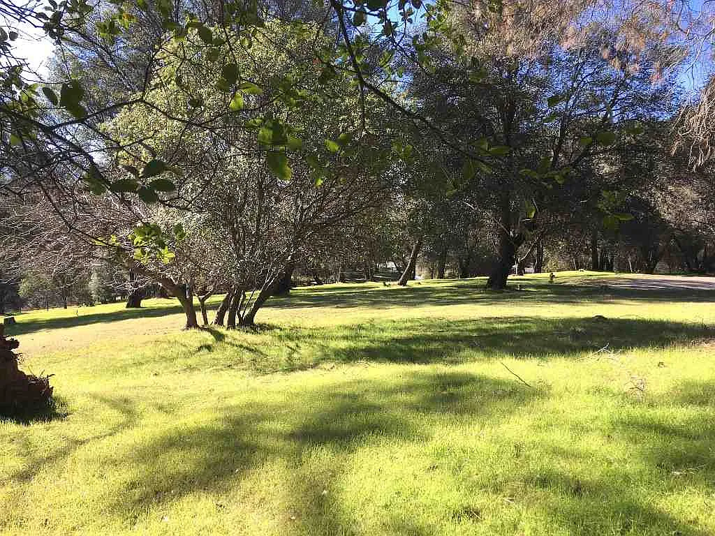 LOT 56 Elderberry Ct photo 1