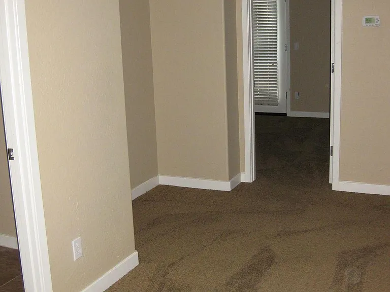1147 E Cedar St — Photo 18