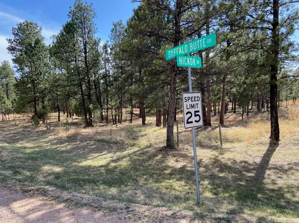 TRACT 48 Hickok Dr, Custer, SD 57730