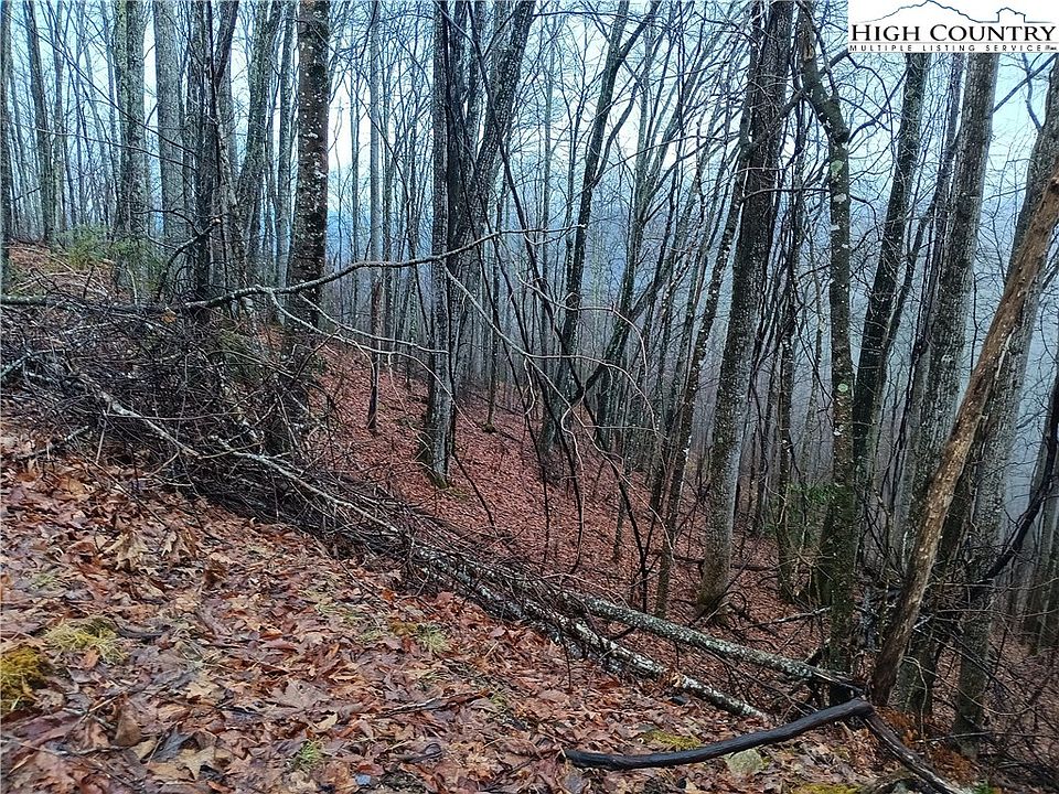 1st image of 105 Bear Cub Lane