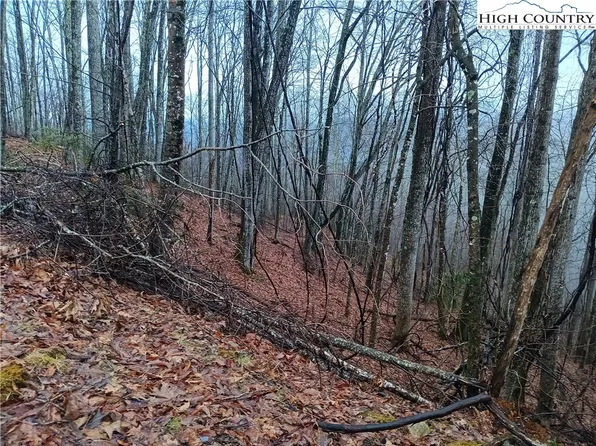 105 Bear Cub Lane, Beech Mountain, NC 28604