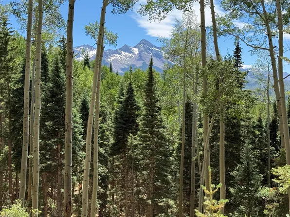 Elk Run Lot 3, Telluride, CO 81435