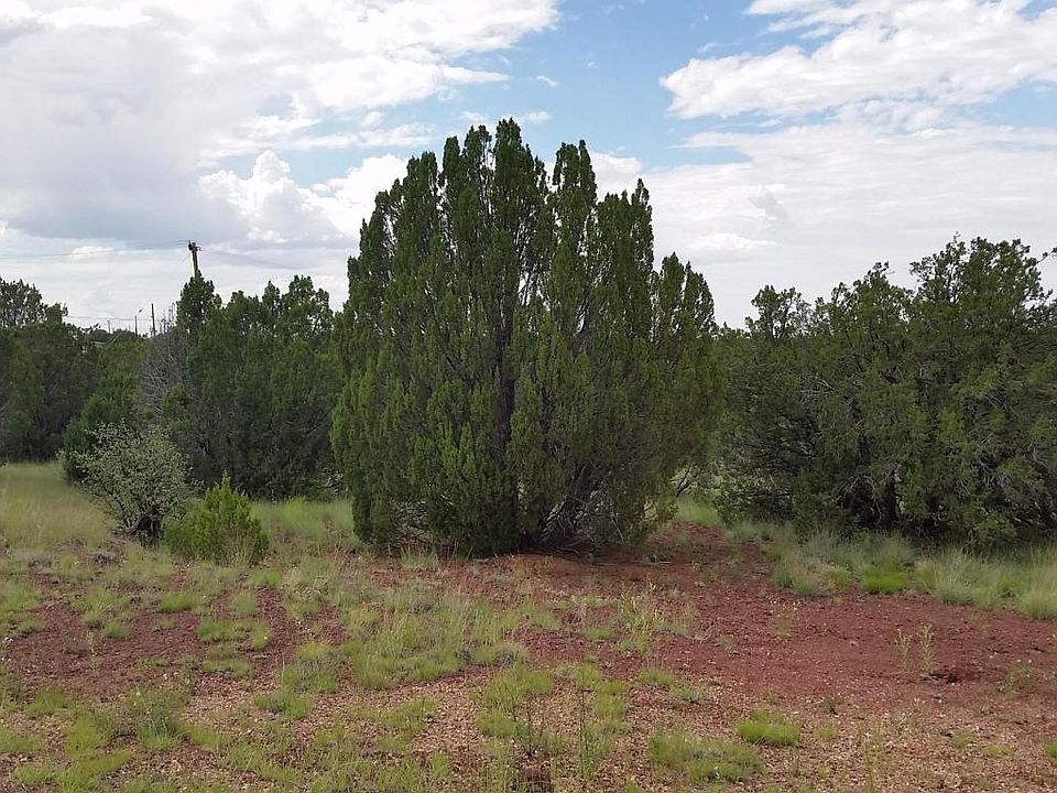 2nd image of 8746 Silver Creek Dr