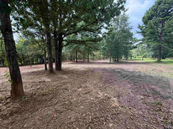 142 Sandy Ln, Bullard, TX 75757