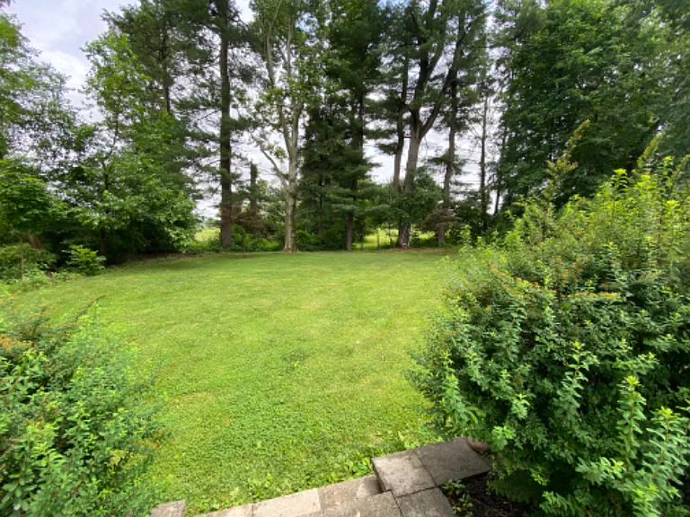 253 Fisher Pl — Photo 4