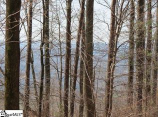 313 Evening Star Ln, Landrum, SC 29356