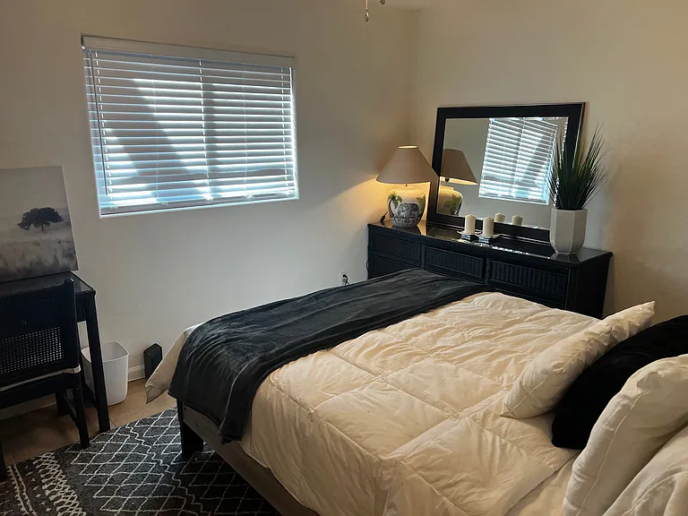 Guest Room Area with large closet area and private TV.