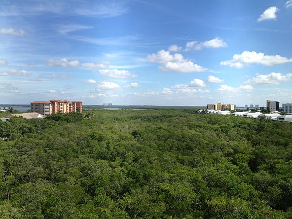 Mangroves view from lanai