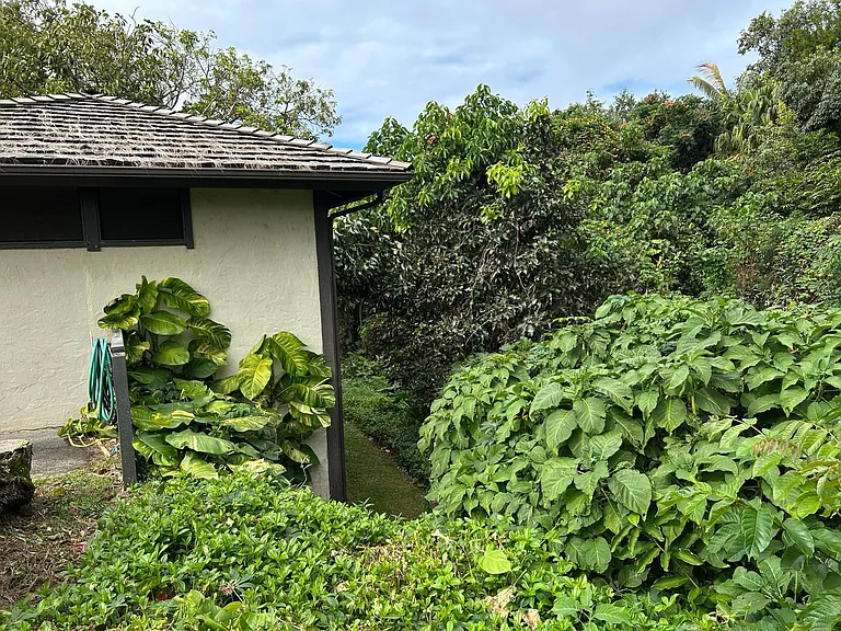 3890 Kamehameha Rd #9 — Photo 4
