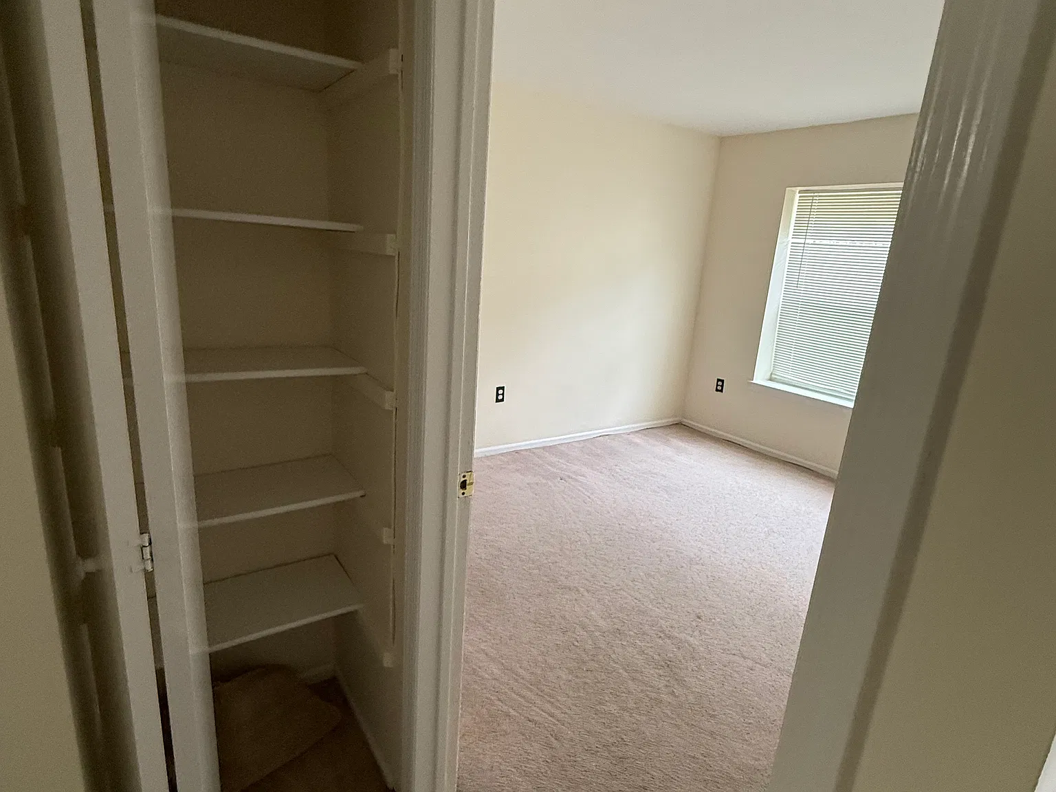 2 bed, 1108 sqft, $2,450 — Photo 4