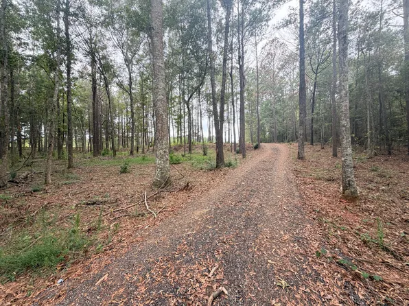 0 Center Ridge Rd, Luverne, AL 36049
