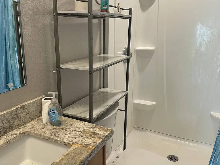 Primary bathroom - shower