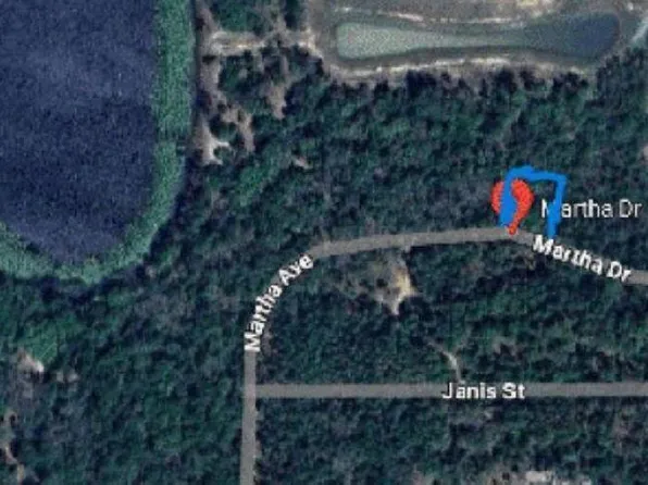 0 MARTHA Drive, Interlachen, FL 32148