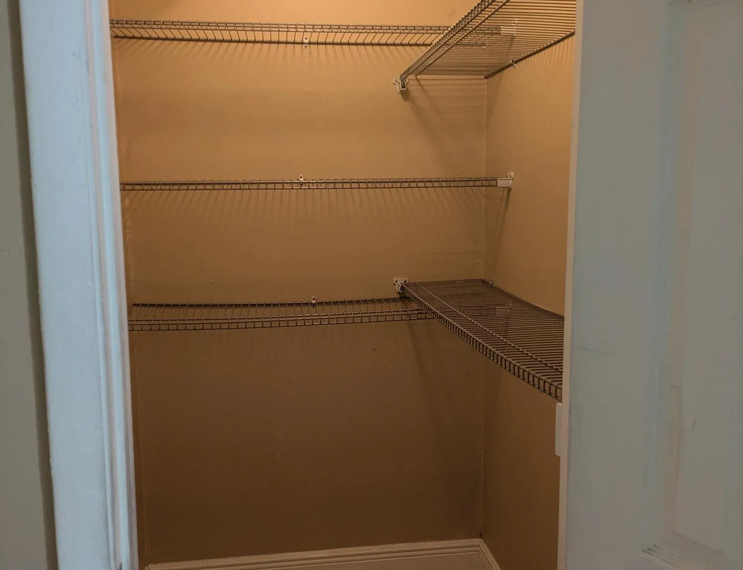 3 bed, 2.0 bath, $2,600 — Photo 3