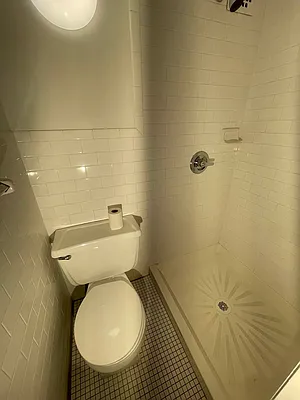 Rented by Voro NYC | media 27