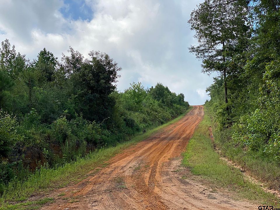 County Road 394 N, Tatum, TX 75691 | MLS #10140058 | Zillow