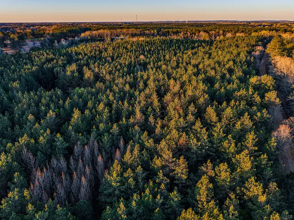 65 County Rd, Woodland, MS 39776