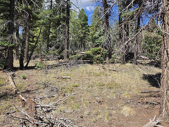 2nd image of 357 vail loop
