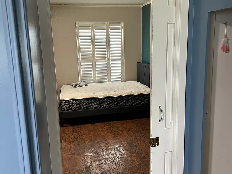 250 County Road 3270 — Photo 5