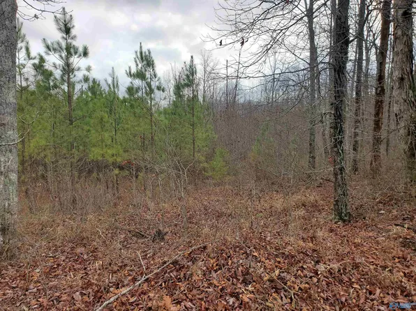 County Road 107, Scottsboro, AL 35768