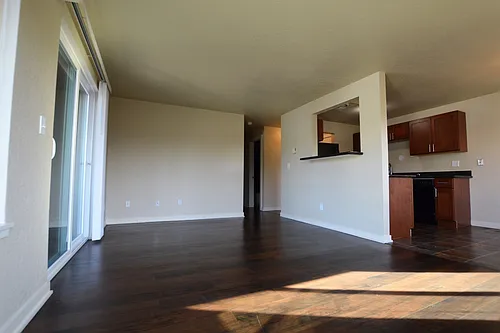 Floor plan 205