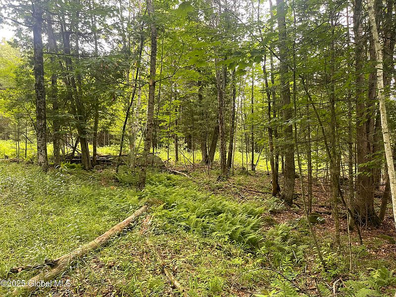 2nd image of L34 Lane Road