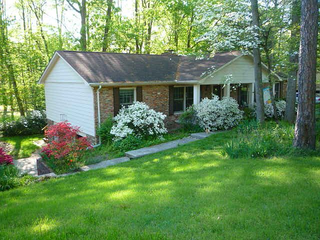 Beautiful spring flowers