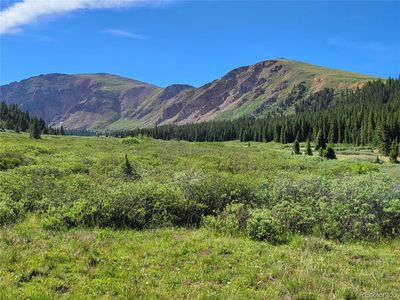 11485 Whale Group, Leadville, CO, 80461