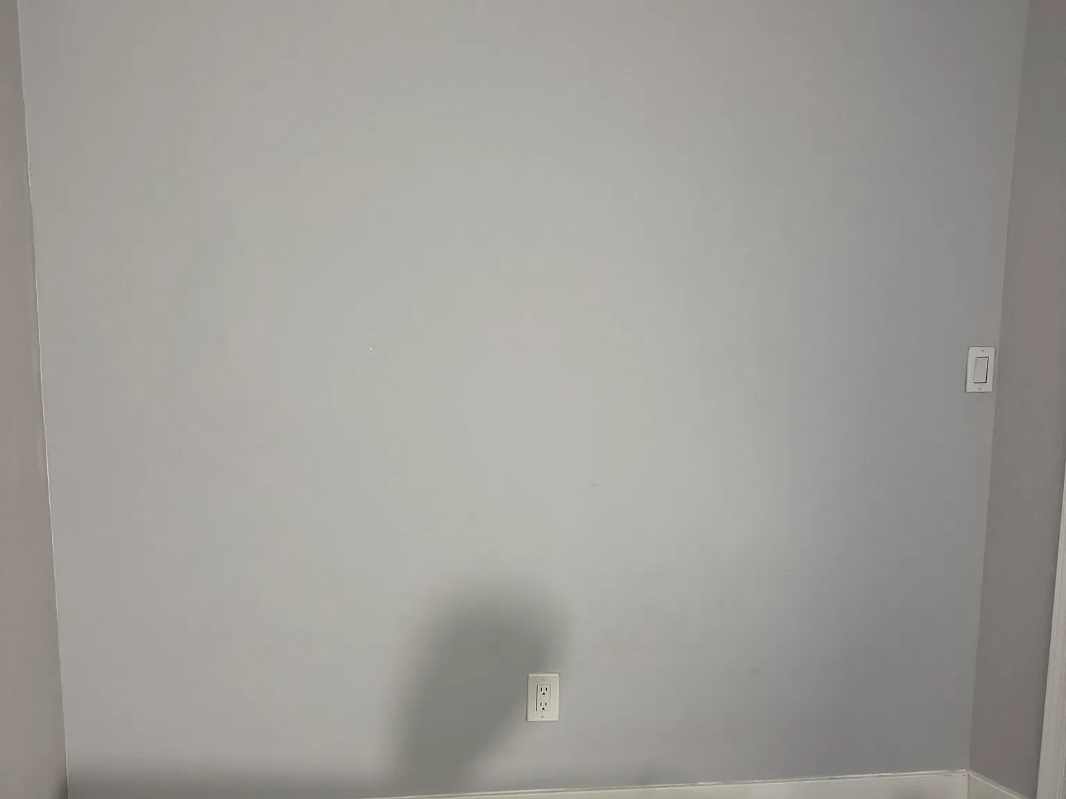 1 bed, $950 — Photo 2