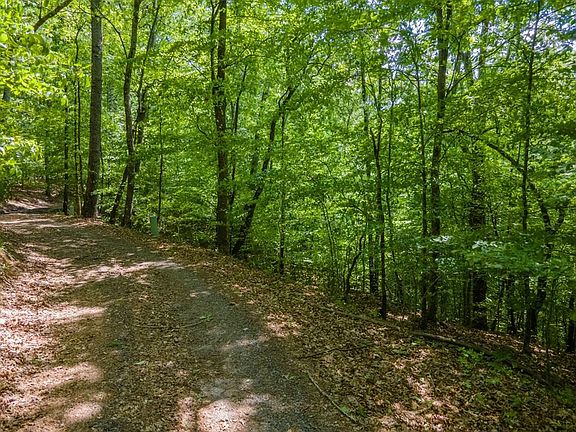 4th image of 0 Lowery Ln