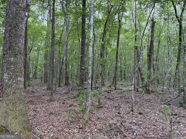 734 Archer Pond Smith Rd, Adrian, GA 31002